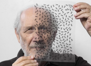 Emilio Isgrò vendita valutazioni opere